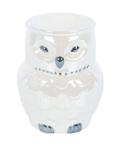 Owl Shaped Iridescent Oil Burner - Image 1